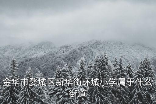金華市婺城區(qū)新華街環(huán)城小學(xué)屬于什么街道