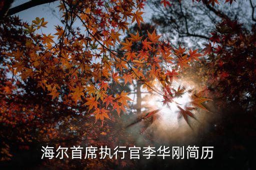 海爾首席執(zhí)行官李華剛簡歷