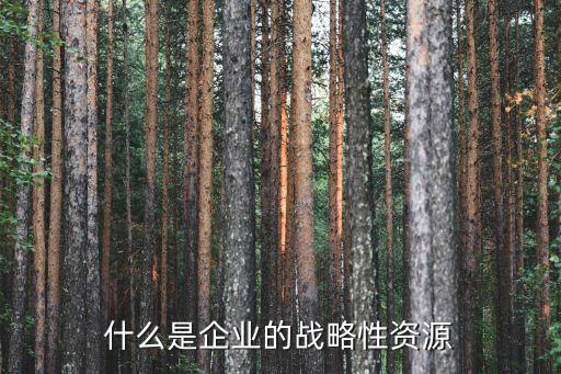 戰(zhàn)略資源，人類賴以生存可提供利用的三項戰(zhàn)略資源是哪三項