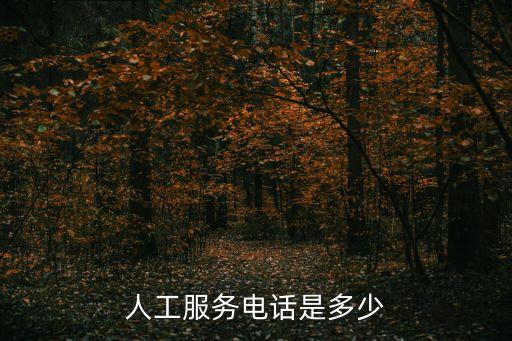 電話咨詢，電話咨詢大學(xué)一般步驟是什么問什么好