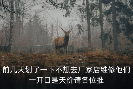 前幾天劃了一下不想去廠家店維修他們一開口是天價請各位推