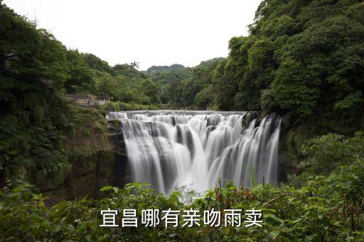 宜昌哪有親吻雨賣