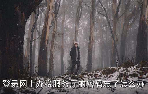 登錄網(wǎng)上辦稅服務廳的密碼忘了怎么辦