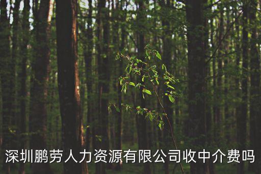 深圳鵬勞人力資源有限公司收中介費嗎
