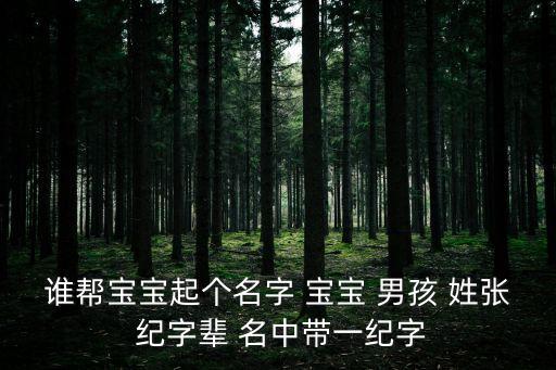 誰幫寶寶起個名字 寶寶 男孩 姓張 紀(jì)字輩 名中帶一紀(jì)字