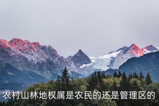 山林地，山林土地是共同財產(chǎn)嗎
