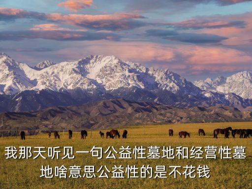 我那天聽(tīng)見(jiàn)一句公益性墓地和經(jīng)營(yíng)性墓地啥意思公益性的是不花錢(qián)