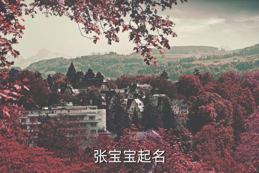 張寶寶起名