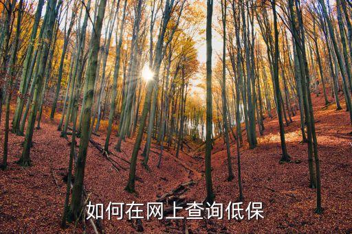 低保查詢網(wǎng)上查詢，低保戶名單網(wǎng)上查詢
