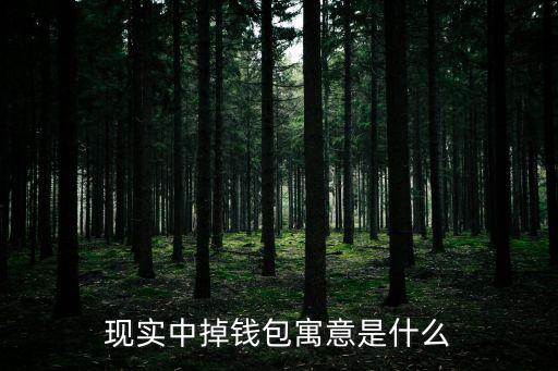 現(xiàn)實(shí)中掉錢包寓意是什么