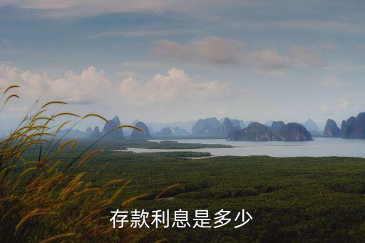存款利息是多少