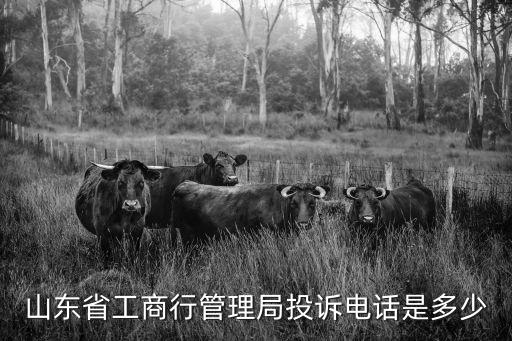 山東省工商行管理局投訴電話是多少