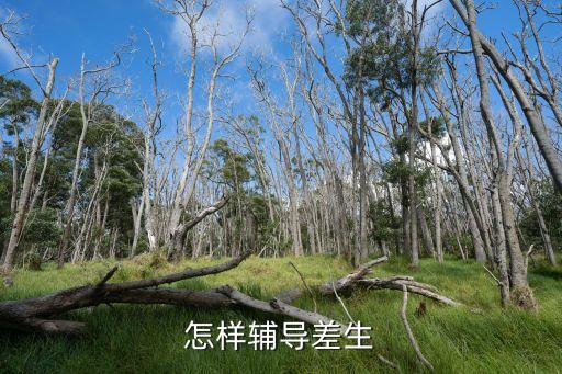 怎樣輔導(dǎo)差生