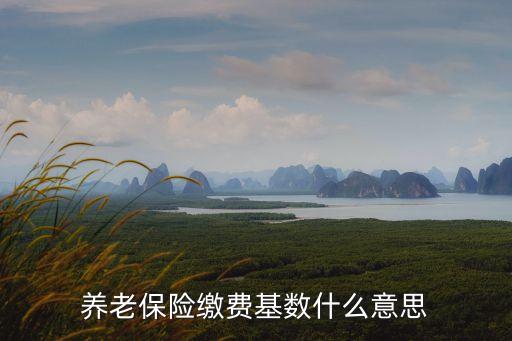 養(yǎng)老保險繳費基數(shù)什么意思