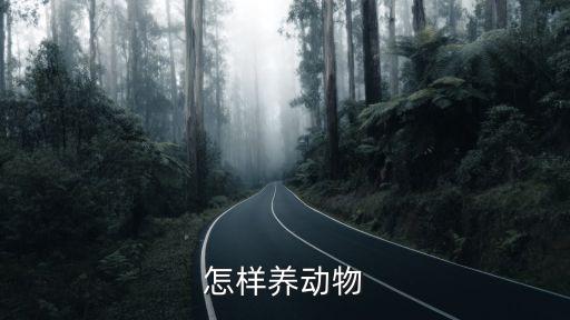 養(yǎng)動(dòng)物，怎樣養(yǎng)動(dòng)物