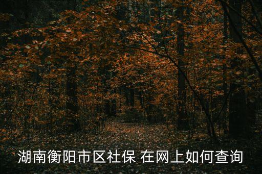 衡陽社保查詢，湖南衡陽市區(qū)社保 在網(wǎng)上如何查詢
