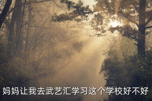 媽媽讓我去武藝匯學(xué)習(xí)這個(gè)學(xué)校好不好
