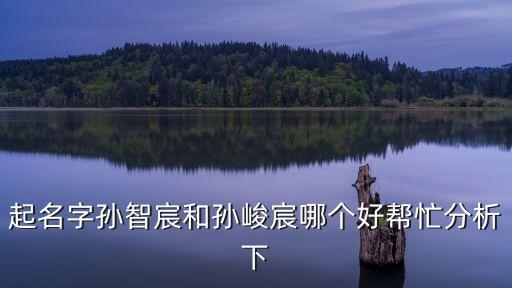起名字孫智宸和孫峻宸哪個好幫忙分析下