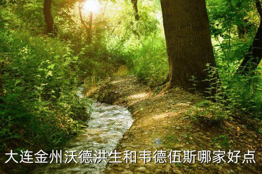 大連金州沃德洪生和韋德伍斯哪家好點(diǎn)