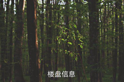 岳麓二手房，樓盤信息