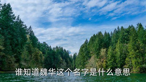 誰知道魏華這個(gè)名字是什么意思