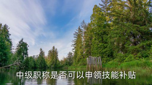 技能補貼，焊工技能有技能補貼嗎