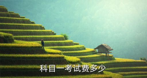 科目一考試多少錢，考駕照考試科目一考試費(fèi)多少