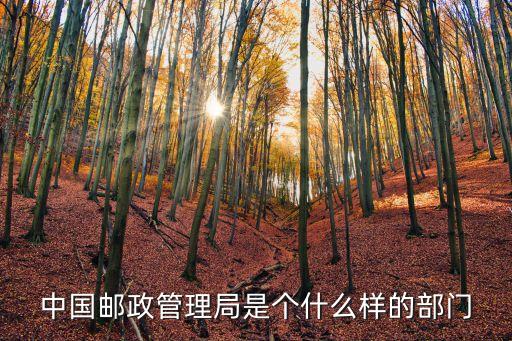國家郵政總局，中國郵政局