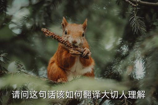 請問這句話該如何翻譯大切人理解