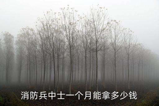 消防兵中士一個(gè)月能拿多少錢