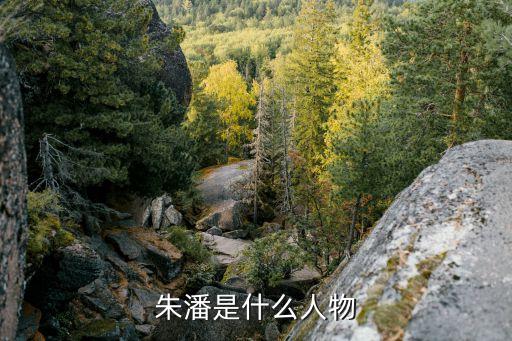 朱潘是什么人物