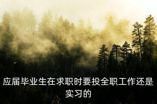 應(yīng)屆畢業(yè)生在求職時要投全職工作還是實(shí)習(xí)的
