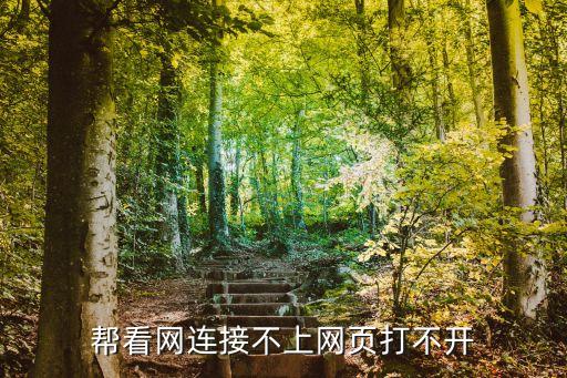 幫看網(wǎng)連接不上網(wǎng)頁(yè)打不開