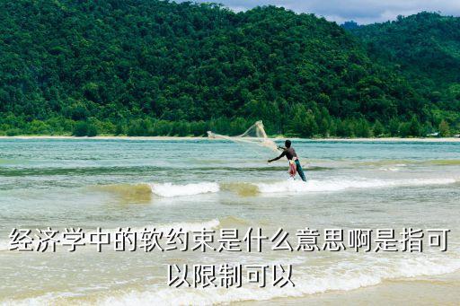 經(jīng)濟(jì)學(xué)中的軟約束是什么意思啊是指可以限制可以
