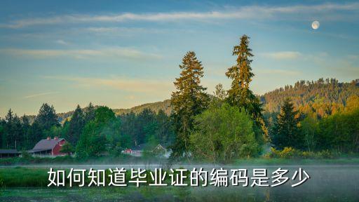 畢業(yè)證書編號(hào)怎么查，畢業(yè)證編號(hào)查詢