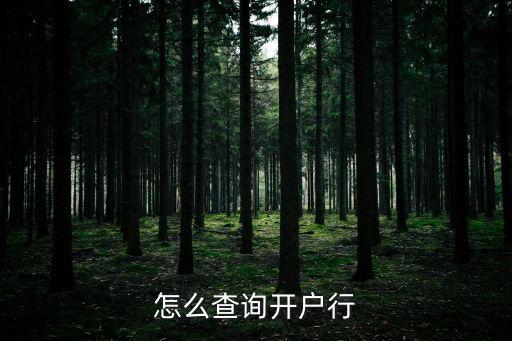 怎么查詢(xún)開(kāi)戶(hù)行