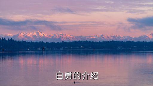白勇，世界上最丑的人是不是白勇