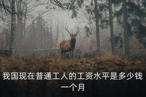 我國(guó)現(xiàn)在普通工人的工資水平是多少錢一個(gè)月
