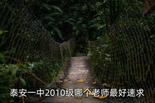 泰安一中2010級哪個(gè)老師最好速求
