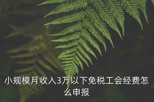 工會(huì)經(jīng)費(fèi)怎么申報(bào)，今年不再計(jì)提工會(huì)經(jīng)費(fèi)請(qǐng)問(wèn)申報(bào)時(shí)怎么申報(bào)