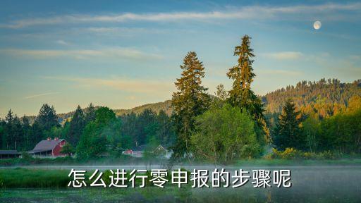 零申報(bào)流程，怎么進(jìn)行零申報(bào)的步驟呢