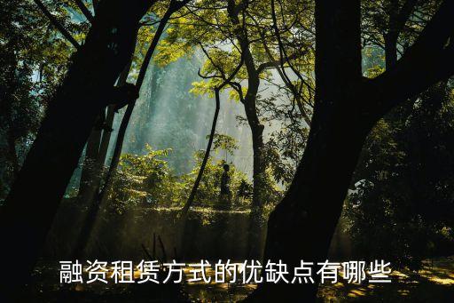 融資租賃方式的優(yōu)缺點(diǎn)有哪些