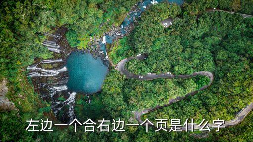 左邊一個合右邊一個頁是什么字