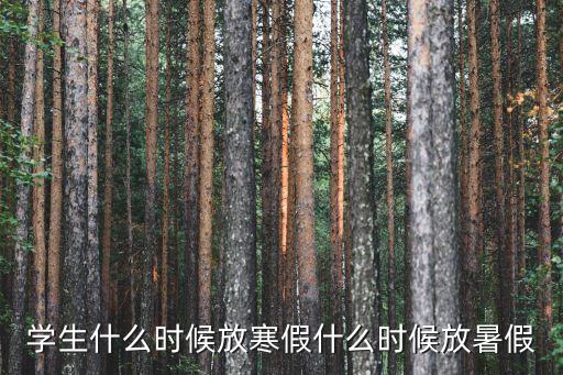 學(xué)生什么時(shí)候放寒假什么時(shí)候放暑假