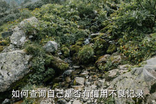 怎么查自己的不良記錄，怎么查個人不良信用紀錄