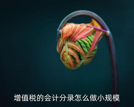 增值稅分錄，增值稅的會計分錄怎么做小規(guī)模