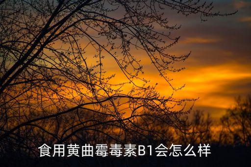 黃曲霉素b1，黃曲霉素b1能治病嗎