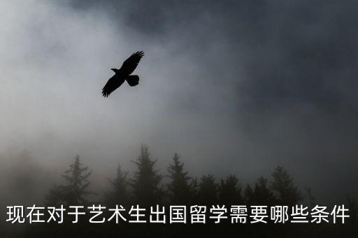 現(xiàn)在對(duì)于藝術(shù)生出國(guó)留學(xué)需要哪些條件