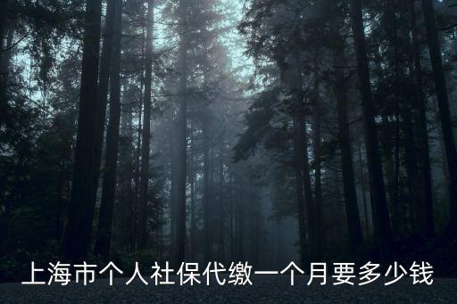 上海市個(gè)人社保代繳一個(gè)月要多少錢