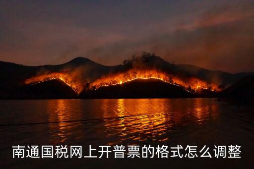 南通國稅網(wǎng)上開普票的格式怎么調(diào)整